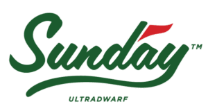 Green Sunday logo with a red accent on the d and the word ULTRADWARF below in green letters.