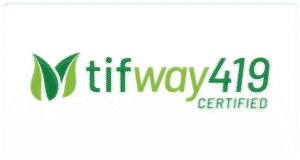 Logo with green leaf design and text: tifway419 CERTIFIED on a white background.
