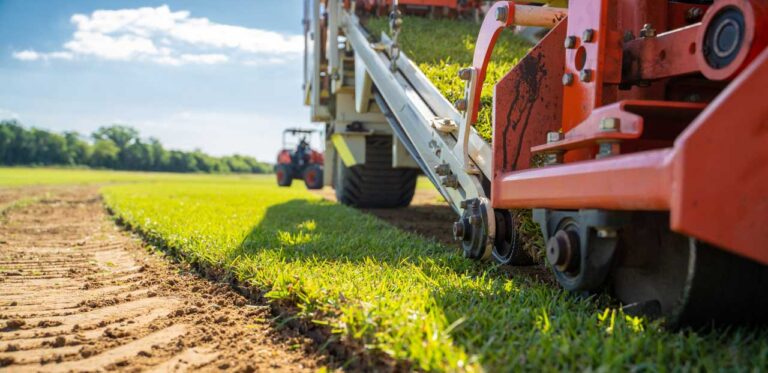 Close-up of a machine harvesting sod rolls in a field with green grass and a tractor in the background.