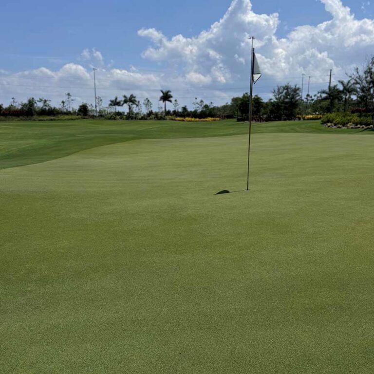 Golf flag on a green putting surface under a blue sky with clouds and palm trees in the background.