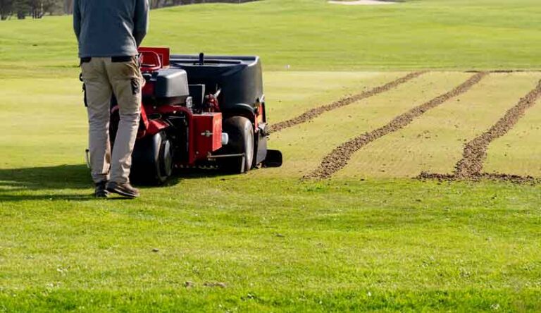 Person operating a machine on a golf course, creating parallel grooves in the grass.