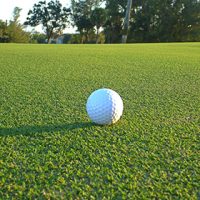 A white golf ball rests on a neatly trimmed green golf course with trees in the background.