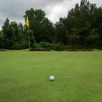 A golf ball on the green near a yellow flag with trees in the background under a cloudy sky.